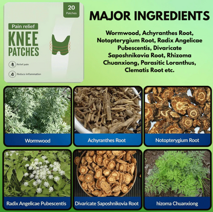 Painshield™ - Natural Pain Relief Knee Patches